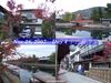 Filename=uji_hotel_4.jpg
Filesize=82KB
Dimensions=640x480
Date added=Jan 04, 2008 uji_hotel_4.jpg