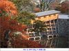 Filename=wakayama_city_2.jpg
Filesize=102KB
Dimensions=640x480
Date added=Jan 07, 2008 wakayama_city_2.jpg