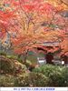 Filename=wakayama_city_smaller.jpg
Filesize=64KB
Dimensions=360x480
Date added=Jan 07, 2008 wakayama_city_smaller.jpg