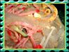 Filename=1-14.jpg
Filesize=174KB
Dimensions=1700x1288
Date added=May 14, 2007 1-14.jpg