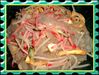 Filename=1-1~2.jpg
Filesize=193KB
Dimensions=1700x1288
Date added=May 14, 2007 1-1~2.jpg